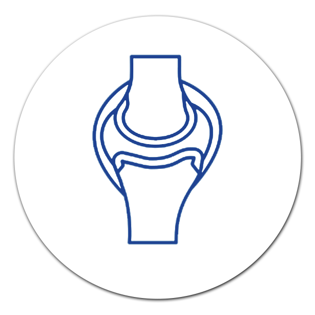 Posterior Cruciate Ligament